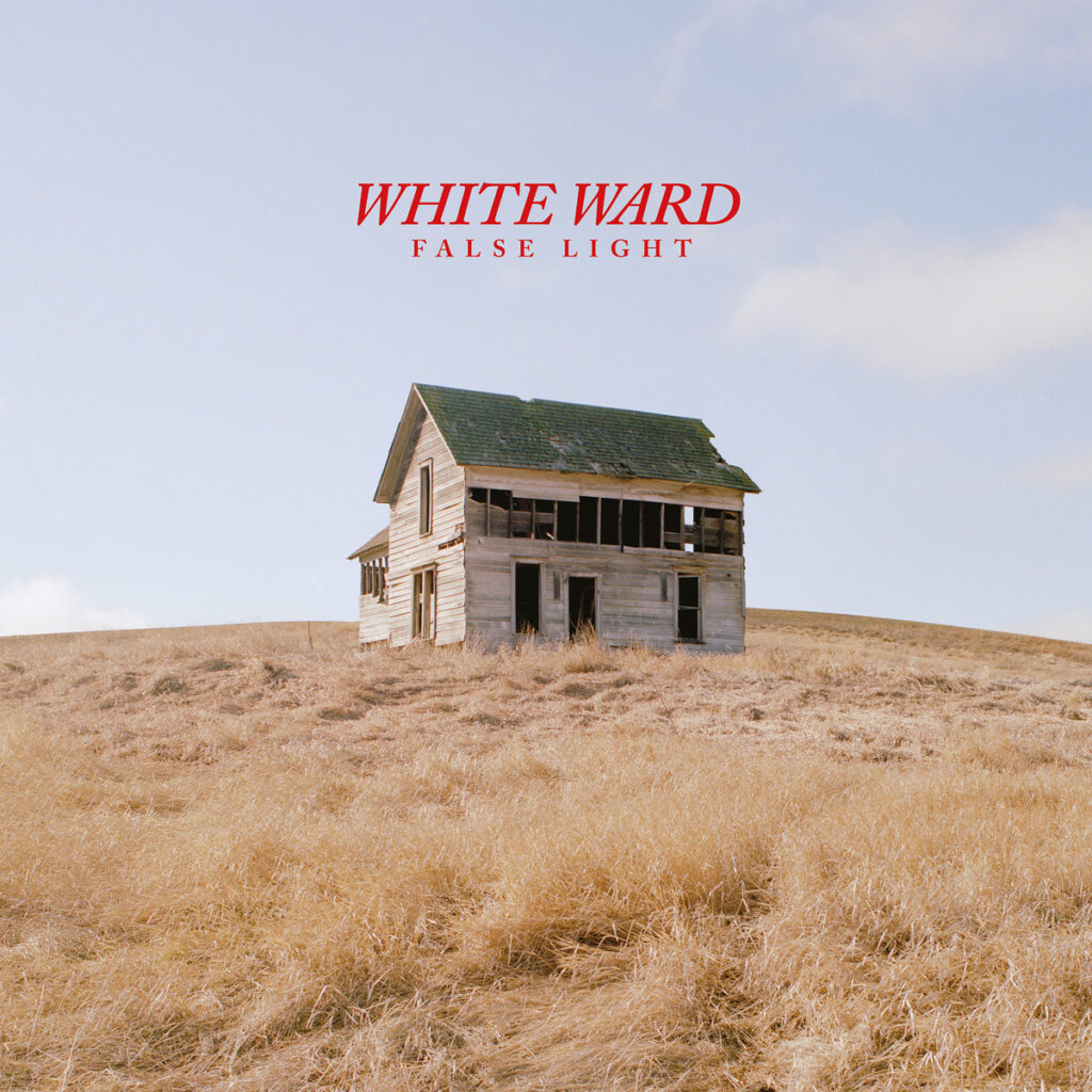 Cover of False Light by White Ward