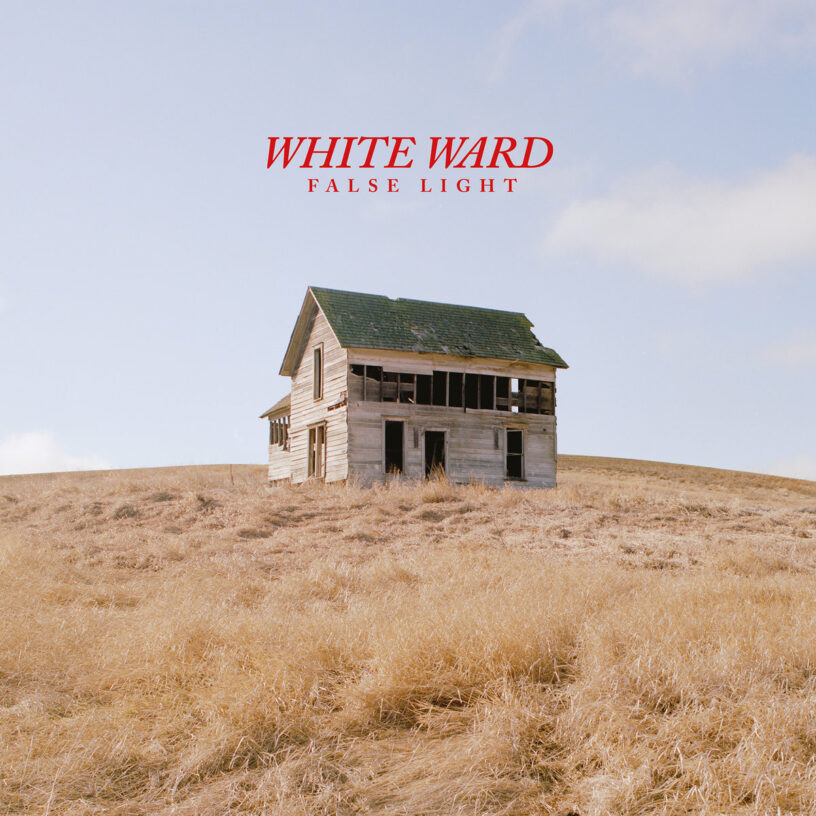 Cover of False Light by White Ward