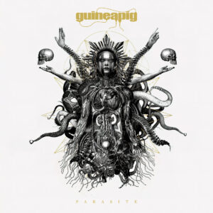 guineapig - parasite