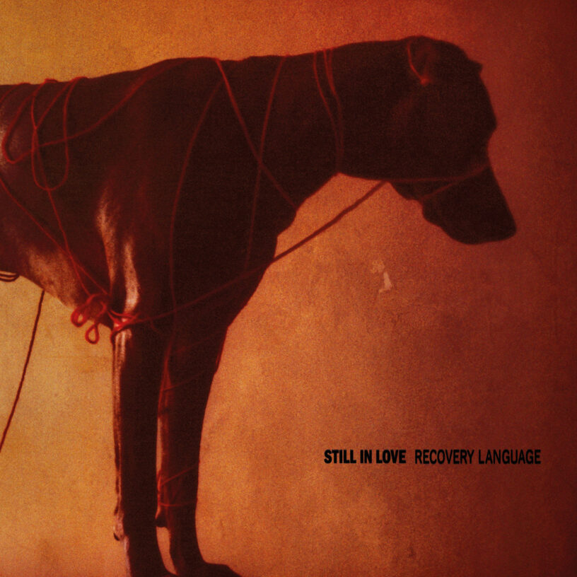 still in love - recovery language