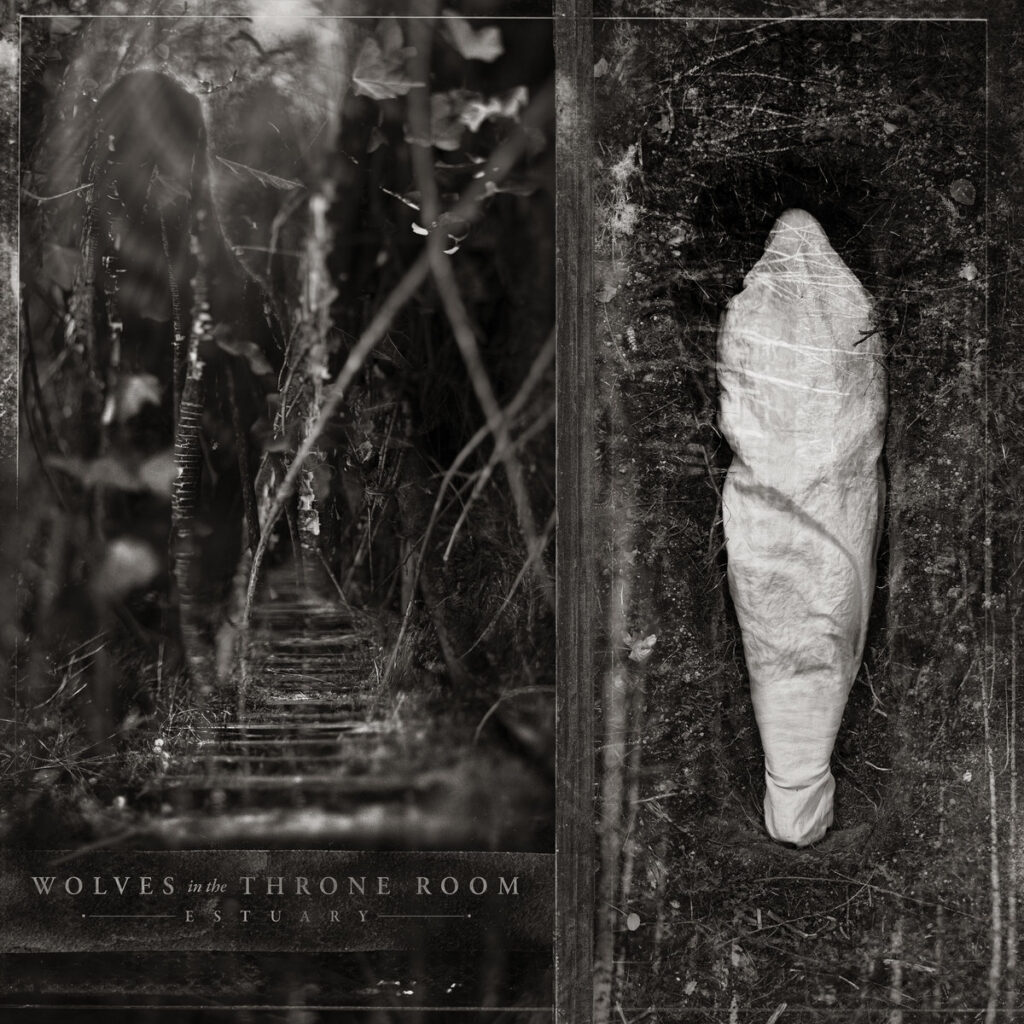 Wolves in the throne room - estuary
